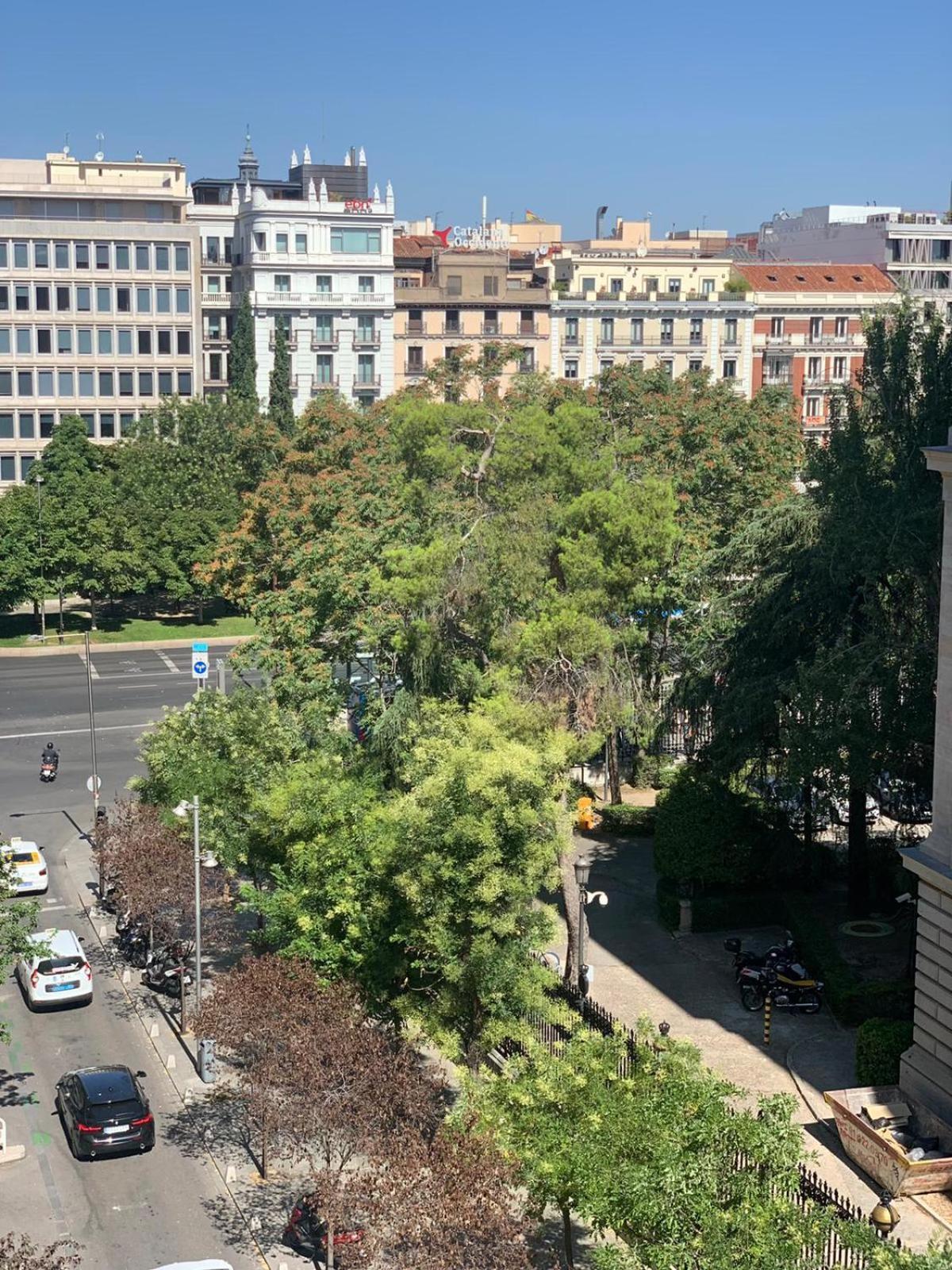 Luxury Studio Retiro Park & Prado Museum Μαδρίτη Εξωτερικό φωτογραφία